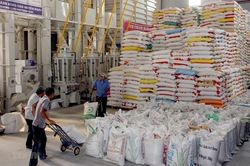 Yêu cầu an toàn thực phẩm với gạo nhập kho dự trữ quốc gia