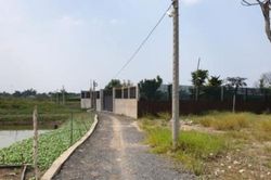 UBND TP.HCM chỉ đạo thanh tra toàn diện quản lí đất đai, xây dựng tại Bình Chánh