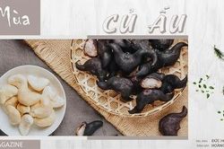 Mùa củ ấu
