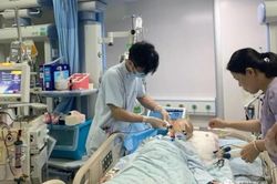 Cậu bé 9 tuổi hôn mê sâu vì cha mẹ bồi bổ bằng cá nóc
