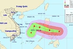 Chín môn thi chính thức hoãn vì ảnh hưởng của bão Kammuri, không gồm bóng đá