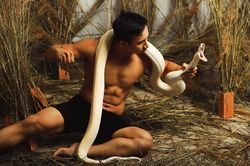 Chụp ảnh cùng mãng xà, Đại Việt đoạt giải nhất cuộc thi người mẫu ảnh