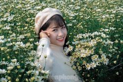 Thảm cúc họa mi trắng tinh khôi ở Nam Định 'hút' giới trẻ