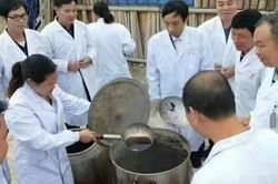 Nhóm bác sĩ Đông y bí mật chế 'nước uống trường sinh', giúp sống thọ 120 tuổi