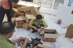 Cuộc chiến còn lắm gian nan