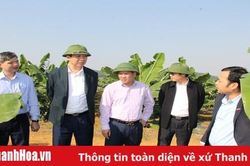 Đoàn công tác của Sở NN&PTNT làm việc với Công ty CP thực phẩm xuất khẩu Đồng Giao