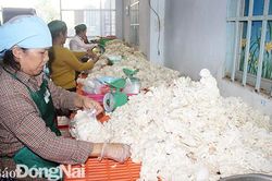 Nông dân là chủ thể trong xây dựng nông thôn mới