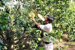 Hà Nam nâng cao chất lượng mô hình Dân vận khéo