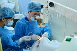 Mang lại 'ánh sáng' cho những người cao tuổi