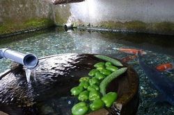 'Choáng' với nước sạch ở ngôi làng có một không hai trên thế giới