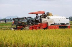 Nhiều vướng mắc, bất cập trong vấn đề dồn điền đổi thửa ở Hưng Nguyên