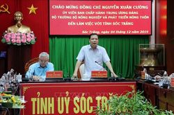 Cơ cấu lại ngành lúa gạo theo hướng nâng cao chất lượng