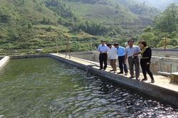 Lai Châu: Nuôi cá nước lạnh theo tiêu chuẩn VietGAP để nâng cao sức cạnh tranh
