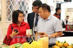 Diễn đàn thúc đẩy tiêu thụ nông sản vụ Đông 2019