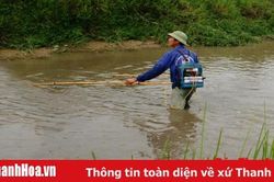 Nguồn lợi thủy sản tự nhiên khu vực nội đồng đang suy giảm nghiêm trọng