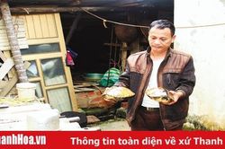 Khó khăn trong tiêu thụ khiến người nuôi rùa câm lao đao