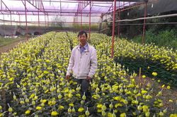 Thủy chung với nghề truyền thống