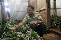 Để nghề phát triển bền vững