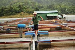 Cát Tiên: Phát huy lợi thế, tiềm năng nuôi trồng thủy sản