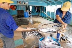 Xuất khẩu thủy sản khó chạm mục tiêu 10 tỷ USD