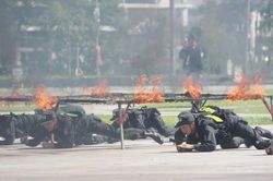 10 năm vững vàng quả đấm 'thép'