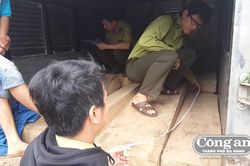 Truy bắt xe chở 'gỗ lậu'