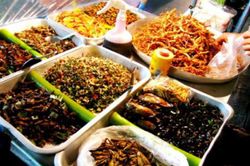 Những món côn trùng chiên của Thái Lan khiến du khách 'sợ tái mặt'