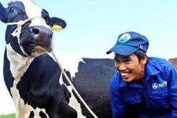 Tin đồn trên mạng xã hội: Biến tướng của truyền thông bất lương?