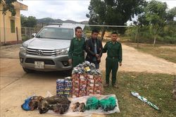 Dùng xe bán tải vận chuyển 136 kg pháo và 30 kg thịt thú rừng
