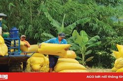 Phát triển nông nghiệp ở huyện miền núi