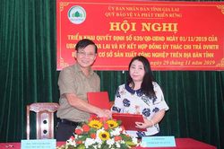 Dịch vụ môi trường rừng tại Gia Lai: Cơ sở công nghiệp không đứng ngoài cuộc