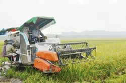 Động lực phát triển nông nghiệp, nông thôn