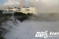 Ông lớn SCIC 'ế' lô cổ phần hơn 1.200 tỷ tại Nhiệt điện Quảng Ninh