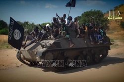 Cameroon: Hàng trăm tay súng Boko Haram ra đầu hàng trong năm 2019