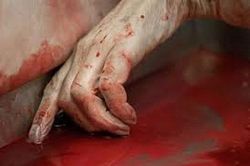 'Rụng tim' trước những điều kỳ quặc người ta làm với xác chết