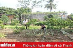 Lan tỏa mô hình 'Nhà sạch - vườn mẫu' xã Yên Trung