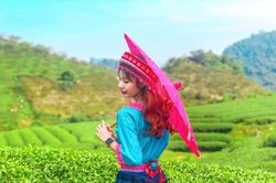 Mộc Châu - điểm check-in thu hút giới trẻ