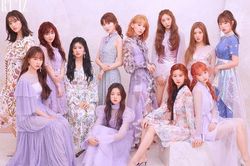 Izone có dấu hiệu tan rã sau bê bối tất cả thành viên đều là 'cơ cấu'