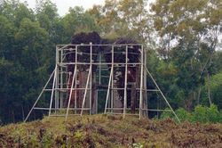 Phật viện Đồng Dương đón nhận bằng xếp hạng Di tích quốc gia đặc biệt