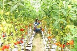 Mục tiêu cốt lõi: Nâng cao đời sống người dân