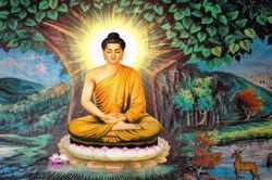 Bồ đề - lời nhắc nhở của quá khứ thẳm sâu về sự tỉnh thức