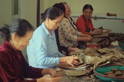 Về làng bánh gai chỉ rộn ràng nhất dịp giáp Tết