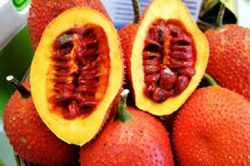 Công dụng cực hay từ hạt gấc