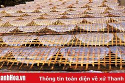 Làng nghề vào Tết: Rộn ràng làng nghề bánh đa nem Đắc Châu