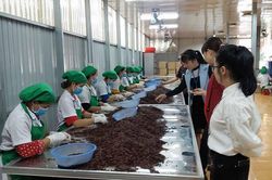 Thay đổi nhận thức về kinh doanh, tiêu dùng thực phẩm trên địa bàn Gia Lai