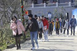 Nhịp sống Sa Pa những ngày rét