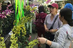 Phát triển sinh vật cảnh phù hợp với nông nghiệp đô thị