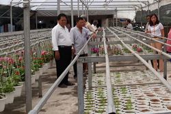 Rút ngắn khoảng cách thu nhập giữa thành thị và nông thôn