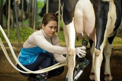 Cô Gái Hà Lan: 20 phút vàng và nguồn nguyên liệu sữa tươi an toàn