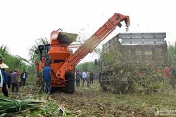 Huyện Tân Kỳ với những đề án kinh tế hiệu quả